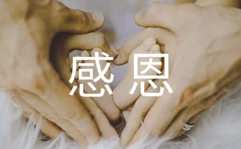 W(xu)жСW(xu)15ƪ