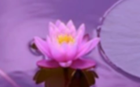 ԳֿƌWl(f)չOCͨR
