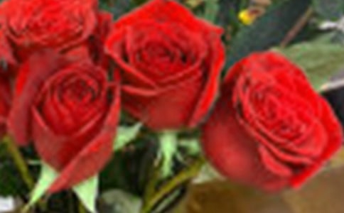 Ґõ廨СW(xu)ģx3ƪ