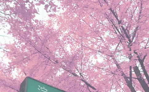 ＾W(xu)ڽ̌W(xu)Ӌ