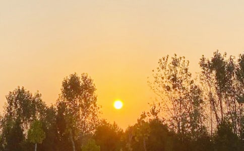 ճ4004ƪ