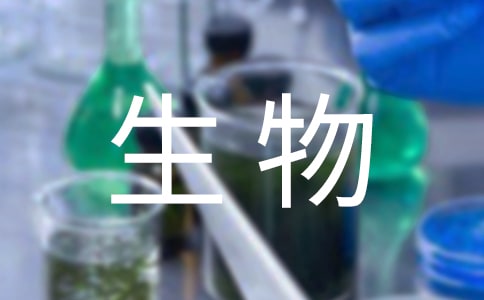꼉(j)(c)̌W(xu)Ӌ(j)(13ƪ)