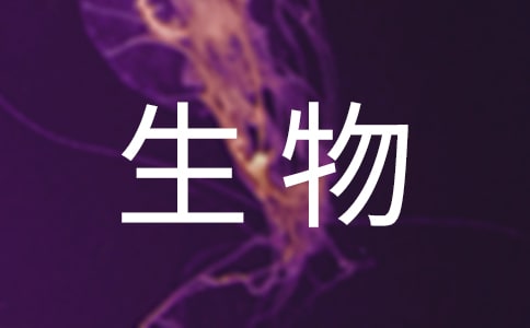 (sh)õ300ֺϼƪ