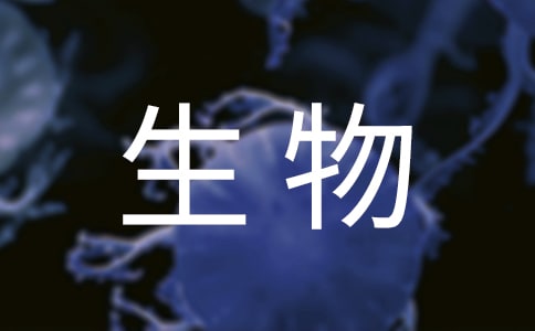 2022꼉(j)̌W(xu)Ӌ(j)