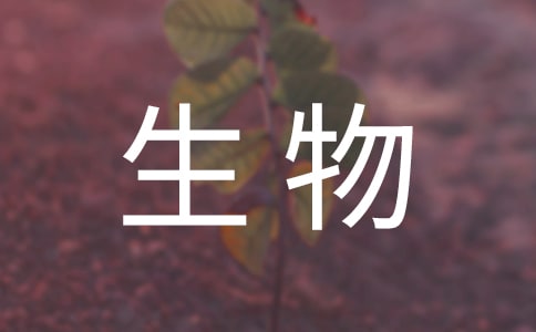 ˽̌W(xu)Ӌ