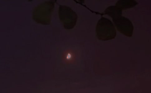ͨZ䛺ϼ56