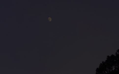 ĵ