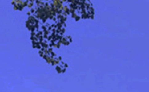 (jng)ů簲ӅRx50䣩
