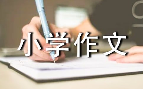 ȤСW(xu)