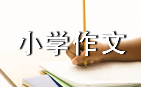 벻СW