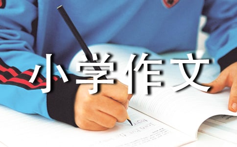x꼉СW(xu)3ƪ