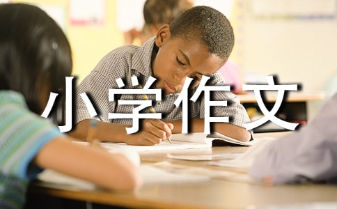 TСW(xu)
