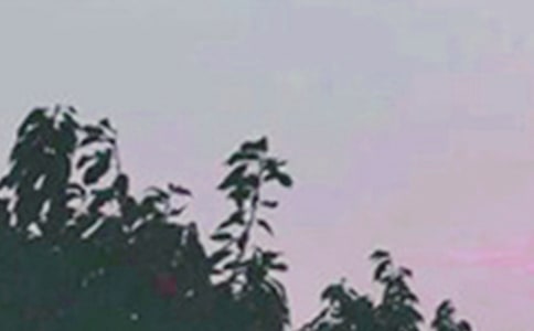 o簲ůľ