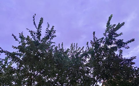 (jin)εă(yu)簲Z(y)Z(y)䛼\40l