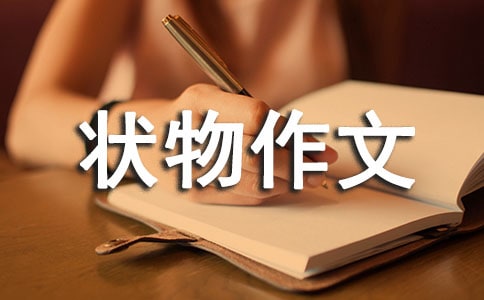 꼉(j)