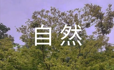 õČĴȻĺϼ7ƪ