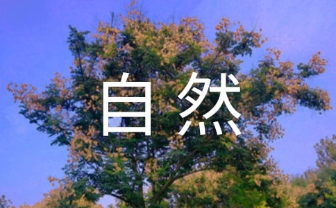 ĴȻ\5ƪ