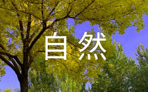 ׌Ȼ¶ġ᡿