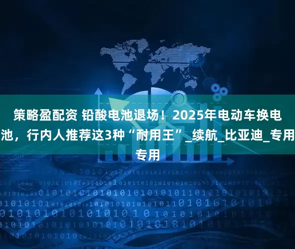 策略盈配资 铅酸电池退场！2025年电动车换电池，行内人推荐这3种“耐用王”_续航_比亚迪_专用