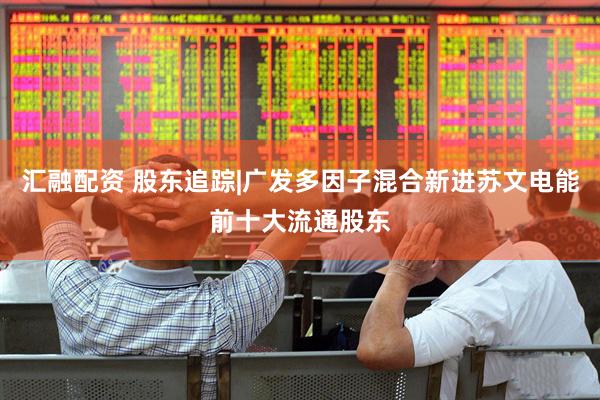 汇融配资 股东追踪|广发多因子混合新进苏文电能前十大流通股东