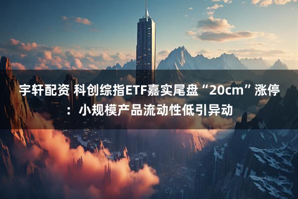 宇轩配资 科创综指ETF嘉实尾盘“20cm”涨停：小规模产品流动性低引异动
